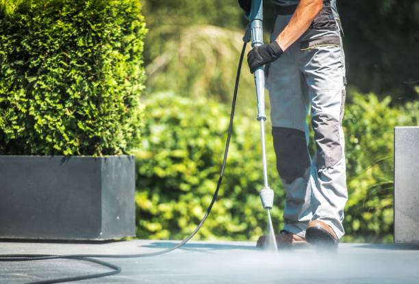 Best Fleet Vehicle Washing  in Crest, CA